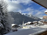 Chalet-appartement l'Alchimie-15
