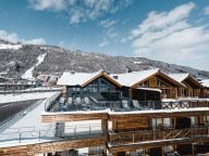 Chalet-appartement Das Neukirchen Penthouse Type 3a-66