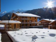 Chalet-appartement Mendi Alde-16