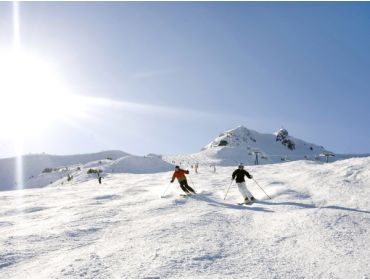 Skigebied Tiroler Zugspitz Arena-2