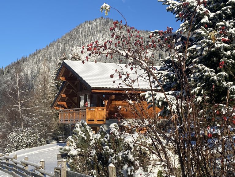 Chalet CYA01