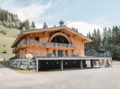 Chalet-appartement Fassl-1