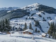 Chalet Buchegg Alm-20