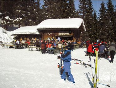 Skidorp Rustig, centraal gelegen dorpje nabij Kaltenbach-9