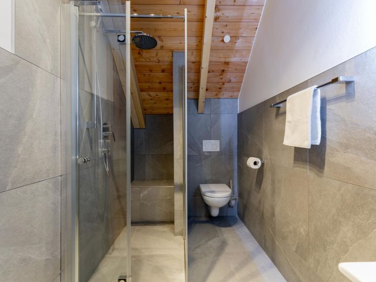 Chalet Mountain Chalet Bergfreund