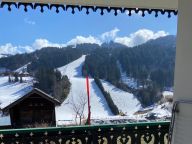Chalet-appartement Fleur des Alpes Lys Martagon-10
