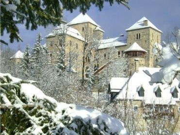 Kasteel Oostenrijk wintersport