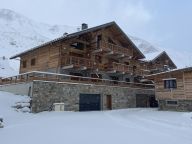 Chalet-appartement Hameau du Moulin-13