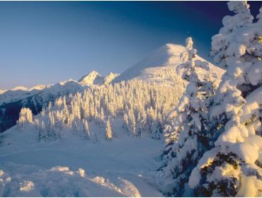 Skidorp Aantrekkelijk en sneeuwzeker wintersportdorp met veel mogelijkheden-2