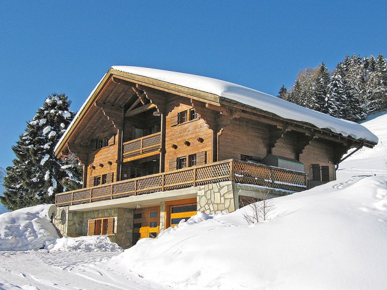 Chalet Les Flats