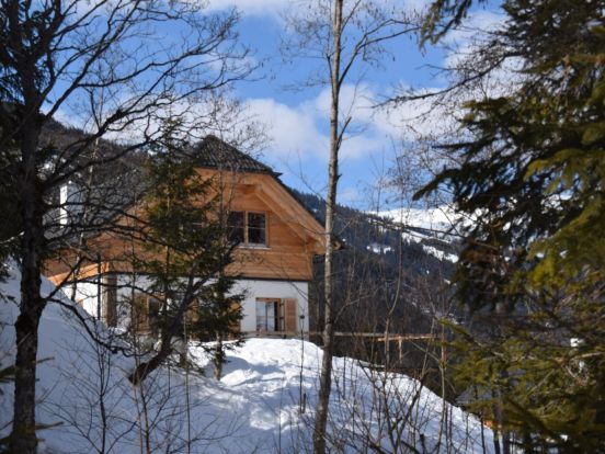 Chalet Riesneralm-23