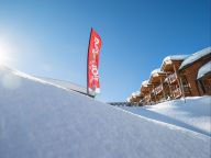 Appartement Les Chalets du Forum met cabine-22