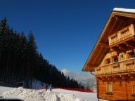 Chalet Almwelt Austria-14