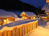 Chalet Almwelt Austria Sennerin-12