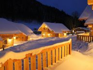 Chalet Almwelt Austria-10