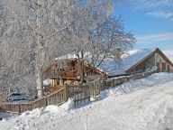 Chalet de Claude met sauna en outdoor hot tub-14