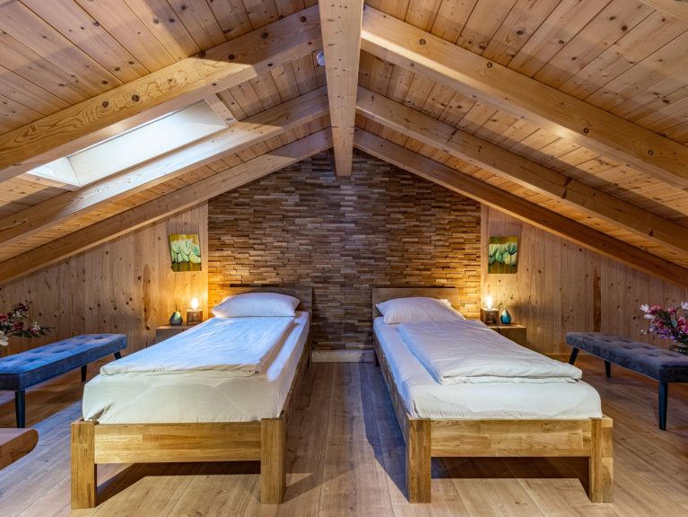 Chalet Astro Venus