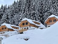 Chalet Riesneralm Hirschblick-33