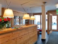 Appartement Residence Zillertal Type A1-13