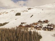 Chalet-appartement Montagnettes Hameau de la Sapinière met sauna-19