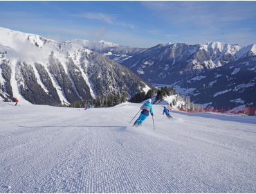 Skidorp: Donnersbachwald-1