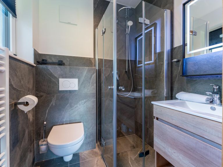 Chalet Mountain Chalet Alpinchique