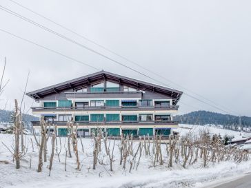 My Mountain next door