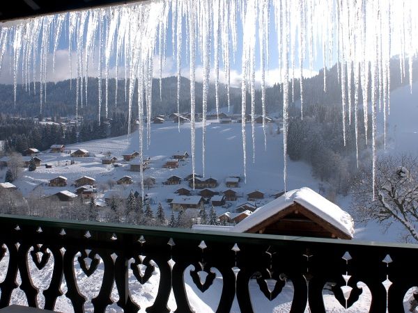Chalet-appartement Fleur des Alpes Ancolie