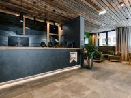 Chalet-appartement Das Neukirchen Type 3b-17