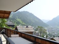 Chalet-appartement Pensée des Alpes-22