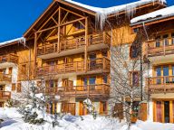 Chalet-appartement L'Ecrin des Sybelles met cabine-21