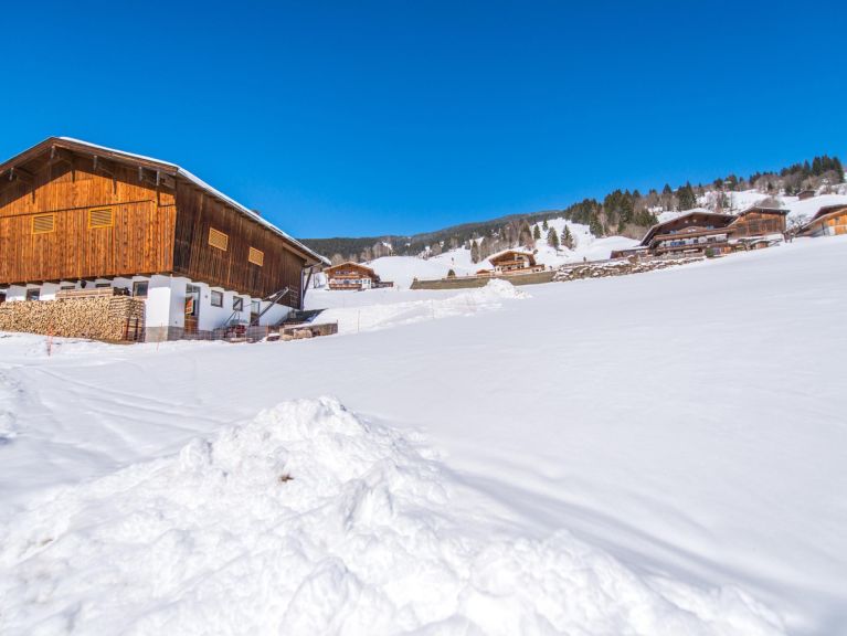 Chalet Schwoichbauer