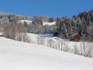 Chalet Rote Alm-19