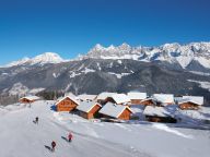 Chalet Almwelt Austria Sennerin-13