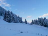 Chalet Winterreitgut-18