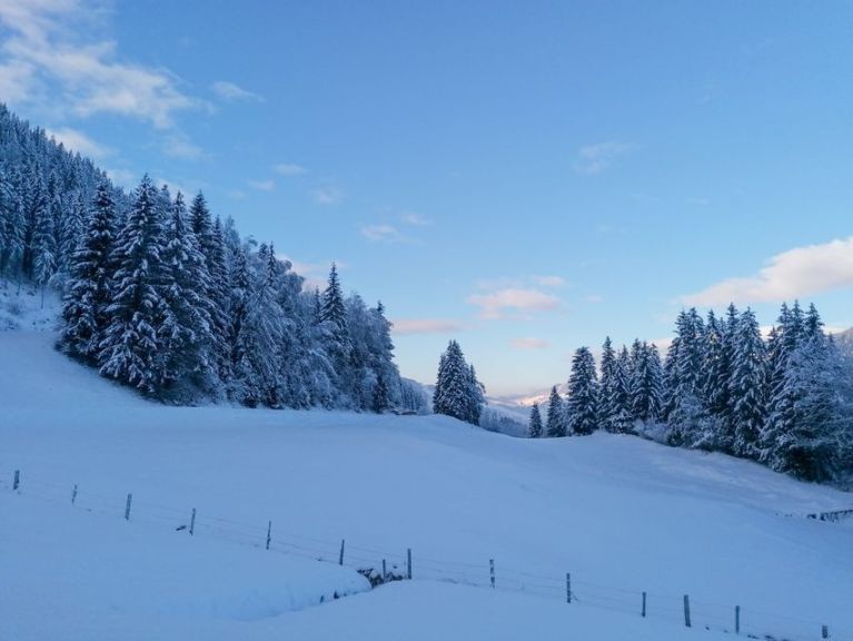 Chalet Winterreitgut