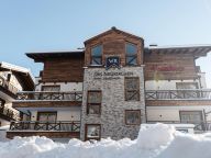 Chalet-appartement Das Neukirchen Type 4a-69