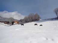 Chalet Hamberg Hütte-17