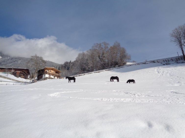 Chalet Hamberg Hütte