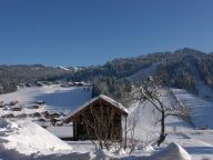 Chalet-appartement Fleur des Alpes Arnica-9