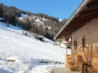 Chalet Katharina-12