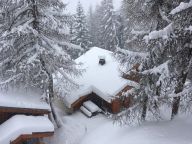 Chalet De Vallandry Le Vent en Poupe met outdoorsauna-25