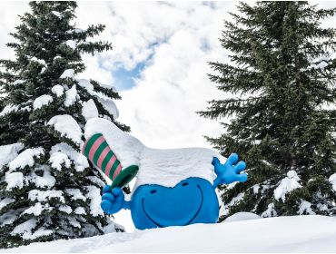 Skidorp Levendig wintersportdorp van alle gemakken voorzien-6