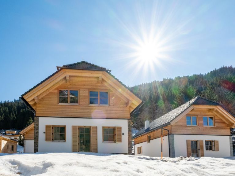 Chalet Riesneralm Steier Hütte
