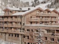 Chalet-appartement AlpenParks Hochkönig Studio Apartment-9