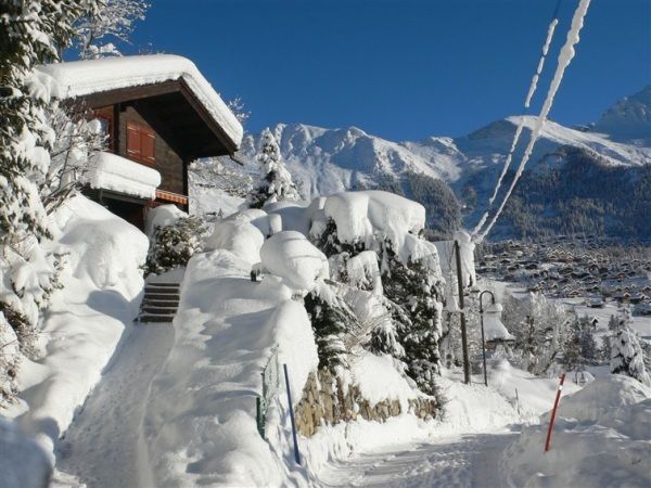 Chalet Château Lapin