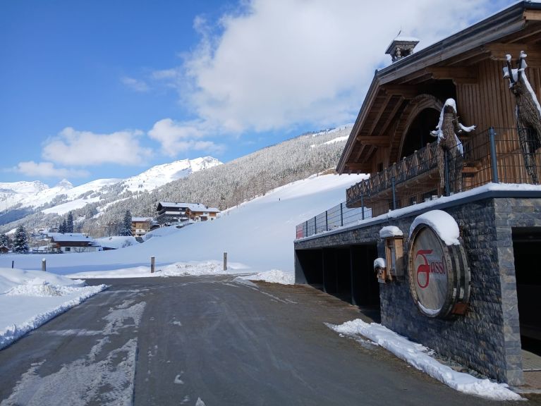Chalet-appartement Fassl