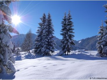 Skigebied Ski Juwel Alpbachtal Wildschönau-2