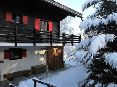 Chalet Les Jeunes-1