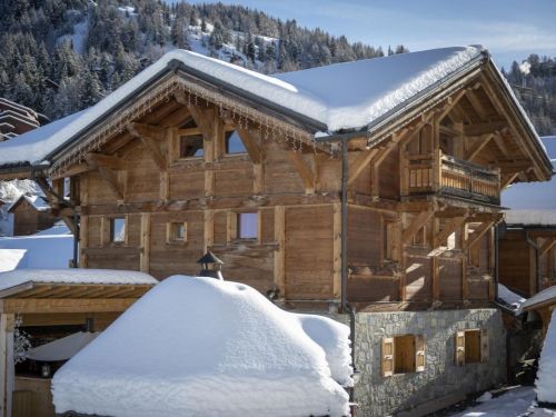 Chalet Pierra Menta 2 - Notre ciel vert